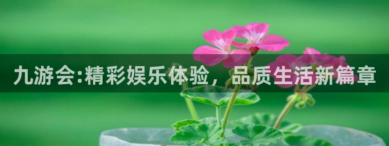 焦点娱乐平台官网入口下载