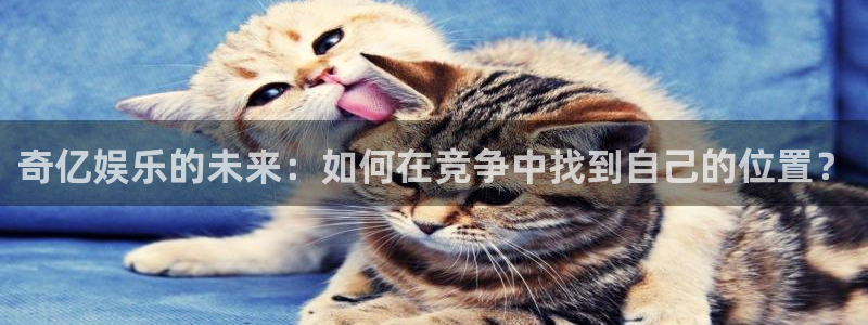 壹号电子娱乐app下载安装