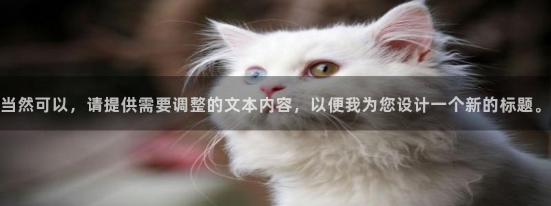 壹号官网app下载安装