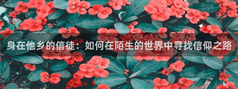 焦点娱乐注册网站app