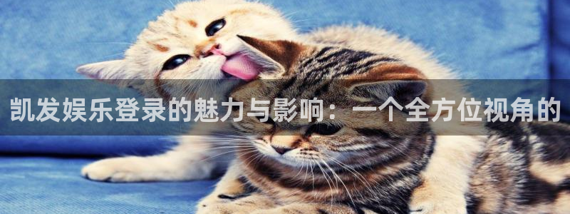 焦点娱乐.ccm苹果版