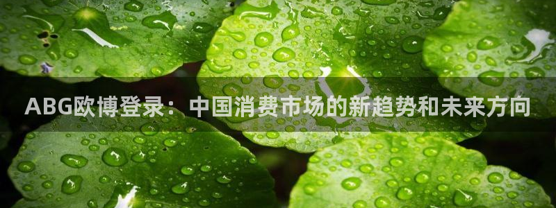 焦点娱乐app下载官网