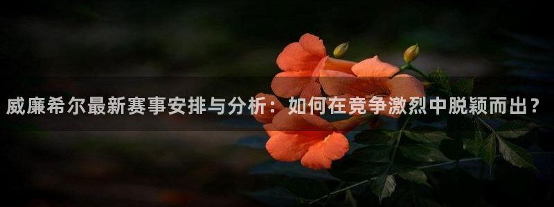 焦点娱乐放水时间