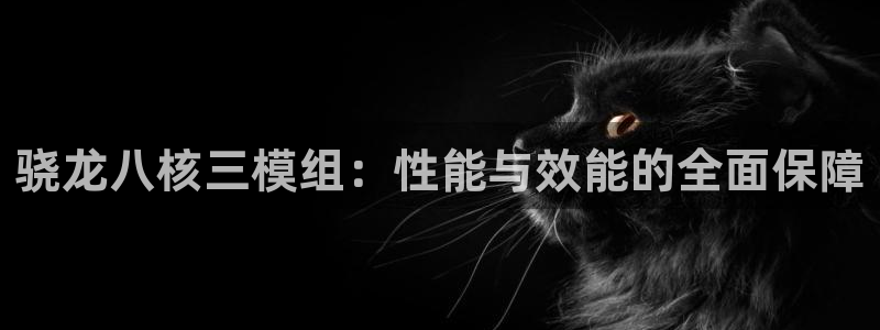 壹号官方app下载安装：骁龙八核三模组：性能与效能的全面保障