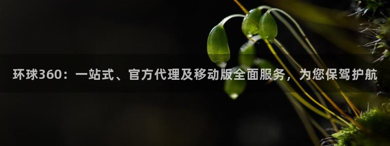 焦点娱乐注册登录入口：环球360：一站式、官方代理及移动版全面服务，为您保驾护航