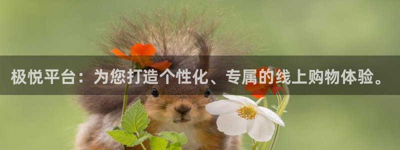 焦点娱乐.com：极悦平台：为您打造个性化、专属的线上购物体验。