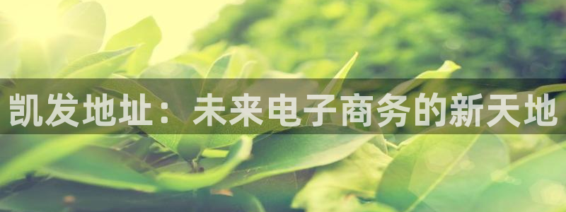 焦点娱乐app官网下载苹果：凯发地址：未来电子商务的新天地