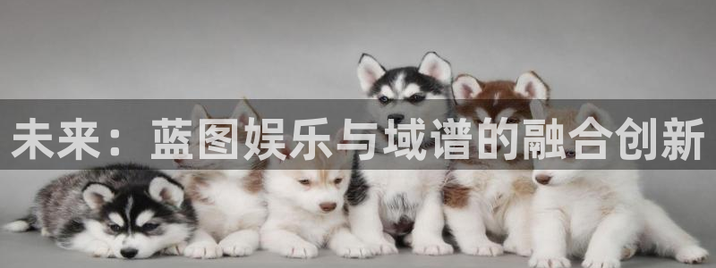 焦点娱乐科技赋能,让平台更有趣：未来：蓝图娱乐与域谱的融合创新