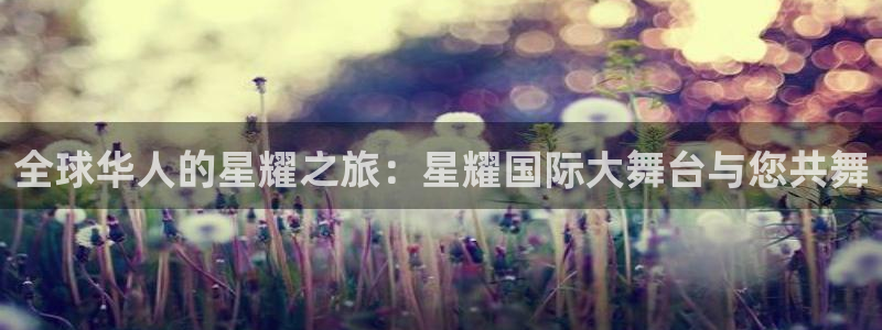 焦点娱乐平台官网版下载：全球华人的星耀之旅：星耀国际大舞台与您共舞