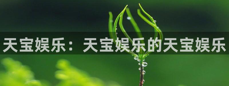 苹果版焦点娱乐下载安装：天宝娱乐：天宝娱乐的天宝娱乐