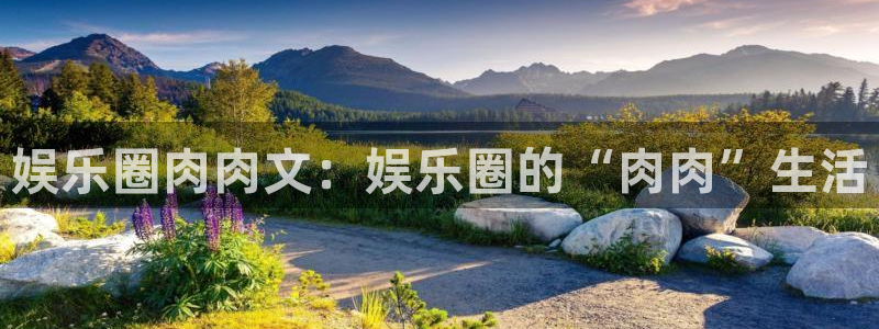 焦点娱乐 - ng大舞台,有梦你就来：娱乐圈肉肉文：娱乐圈的“肉肉”生活