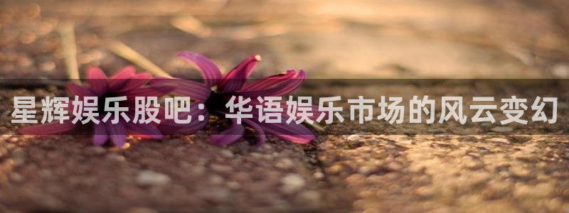 焦点娱乐官网：星辉娱乐股吧：华语娱乐市场的风云变幻