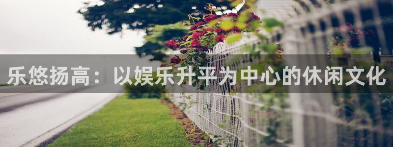 壹号app下载官方网站：乐悠扬高：以娱乐升平为中心的休闲文化