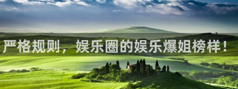 壹号top娱乐：严格规则，娱乐圈的娱乐爆姐榜样！