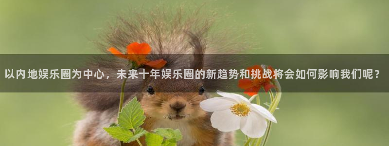 焦点娱乐科技赋能,让平台更有趣：以内地娱乐圈为中心，未来十年娱乐圈的新趋势和挑战将会如何影响我们呢？
