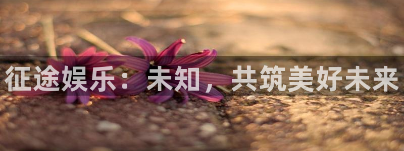 焦点娱乐加拿大下载：征途娱乐：未知，共筑美好未来