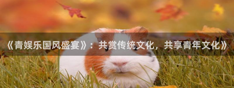 焦点娱乐加拿大：《青娱乐国风盛宴》：共赏传统文化，共享青年文化》