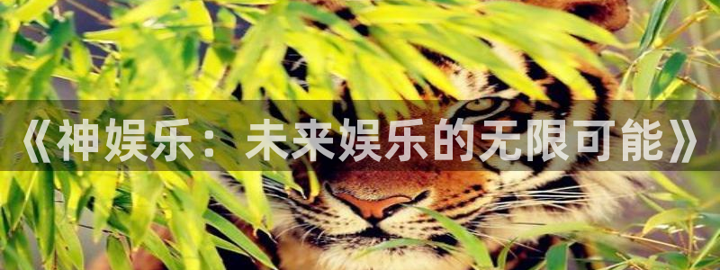壹号电子娱乐app下载：《神娱乐：未来娱乐的无限可能》