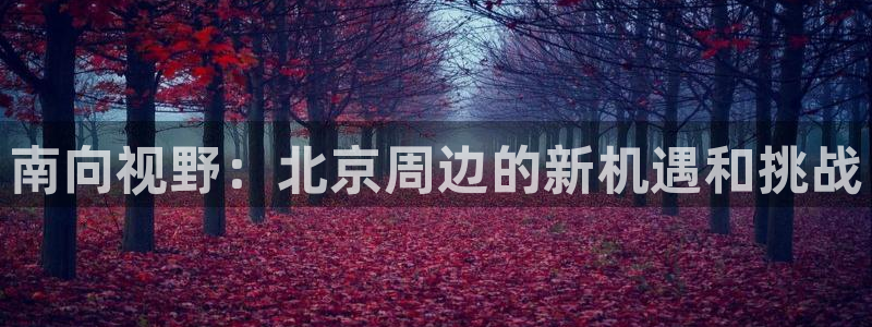 焦点娱乐手机客户端下载安装：南向视野：北京周边的新机遇和挑战