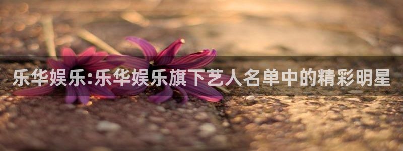 焦点娱乐com：乐华娱乐:乐华娱乐旗下艺人名单中的精彩明星