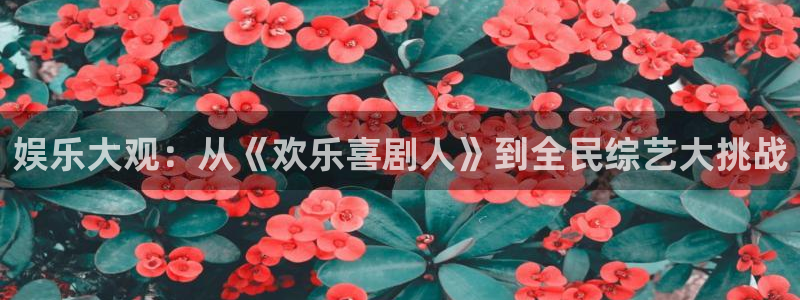 壹号玩家app下载：娱乐大观：从《欢乐喜剧人》到全民综艺大挑战