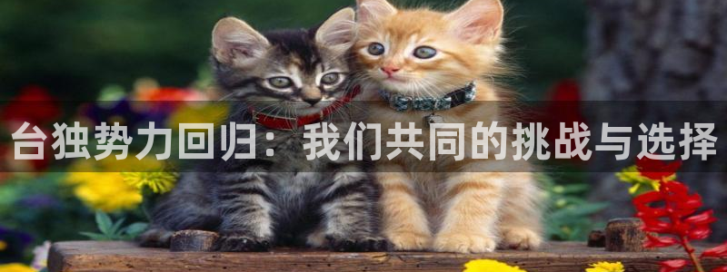 焦点娱乐热门活动有哪些：台独势力回归：我们共同的挑战与选择