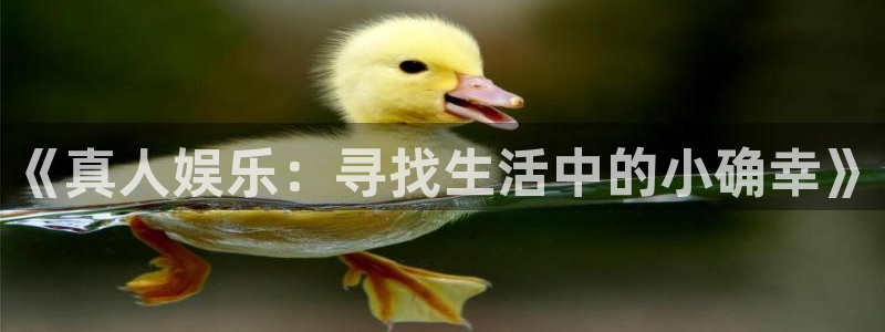 焦点娱乐娱乐：《真人娱乐：寻找生活中的小确幸》