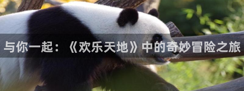 焦点娱乐平台注册：与你一起：《欢乐天地》中的奇妙冒险之旅