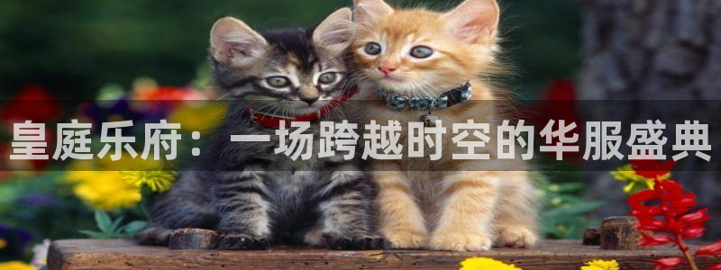 焦点娱乐游戏官网版：皇庭乐府：一场跨越时空的华服盛典