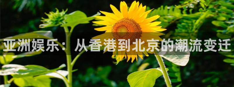 焦点娱乐app下载：亚洲娱乐：从香港到北京的潮流变迁